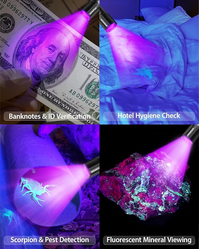 Black Light Flashlight 395NM, UV Light USB C Rechargeable with LCD Display, Zoomable Woods Lamp