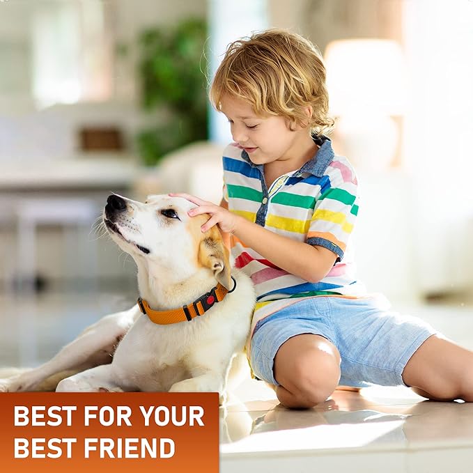 Adjustable Dog Collar with Safety Lock Buckle - Made in USA - Honeycomb Waterproof Heavy Duty Dog