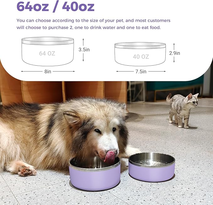 Dog Bowl, Stainless Steel Dog Food and Water Bowl with Non Slip Quiet Bottom, Easy to Clean