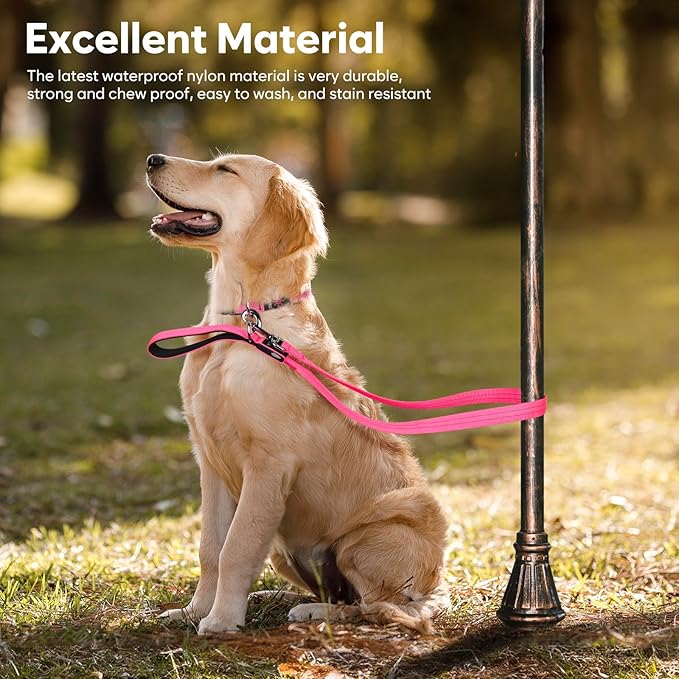 LED Dog Leash, 4 Ft Light Up, USB Rechargeable, Waterproof, Nylon Reflective with Padded Handle