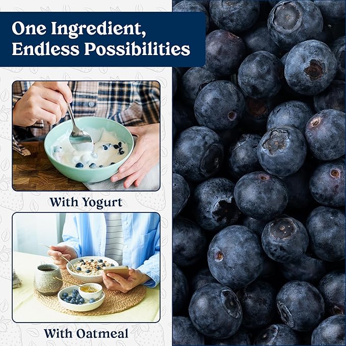 Augason Farms Dried Whole Blueberries Can -Dried Fruit for Baking & Emergency Food Supply