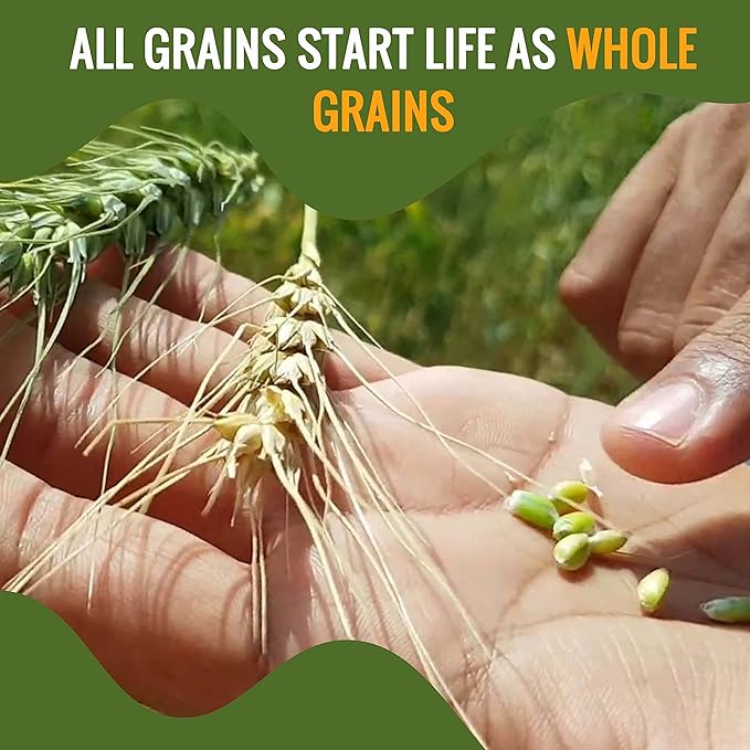 Future Essentials All Purpose White Flour | 100% Natural Whole Grain | Non GMO | Long Term Storage