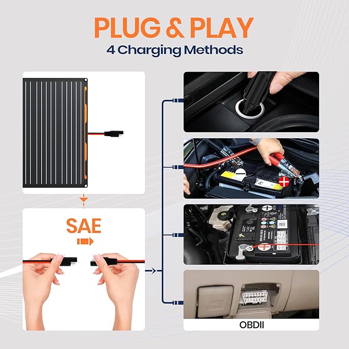 FlexSolar 20W 12V Solar Panel Battery Charger Maintainer Kits Trickle Charger with Built-in Charge
