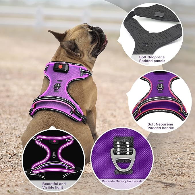 Light Up Dog Harness, No Pull LED Dog Harness with Handle, Rechargeable Lighted Safety Vest for