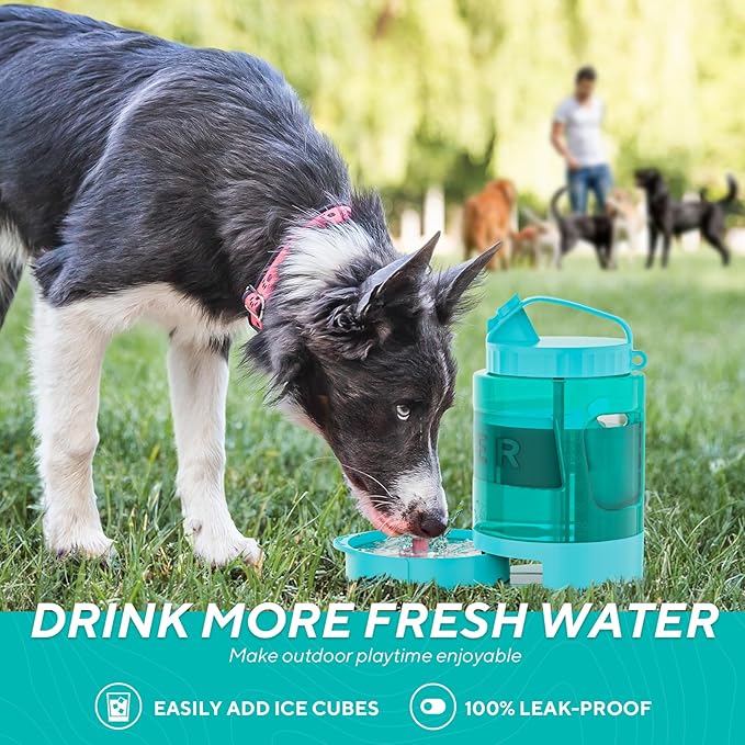 77oz Portable Dog Water Bottle, Large Travel Water Bowls for Dogs Camping Essentials Hiking Park
