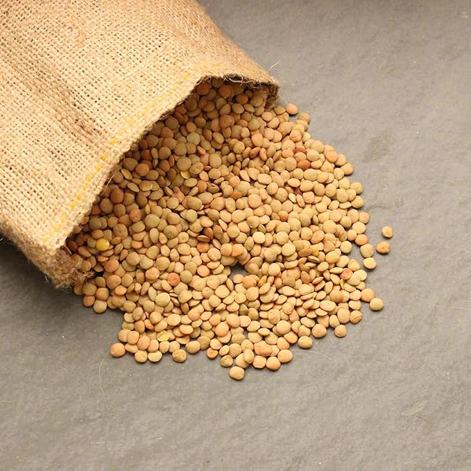 Organic Dried Green Lentil Sprouting Seed: 8 Oz - Dry Lentils for Planting Garden Seeds, Soup