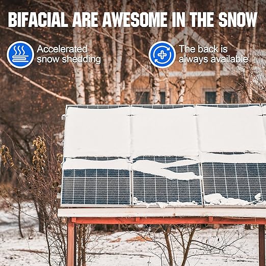 ECO-WORTHY 200 Watt Bifacial Solar Panel 2pcs 100 Watt Monocrystalline Solar Panel Module Off Grid