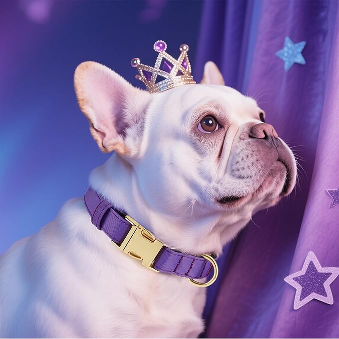 Didog Soft Padded Dog Collar for Large Dogs, Colorful and Durable Pet Collar with Quick Release