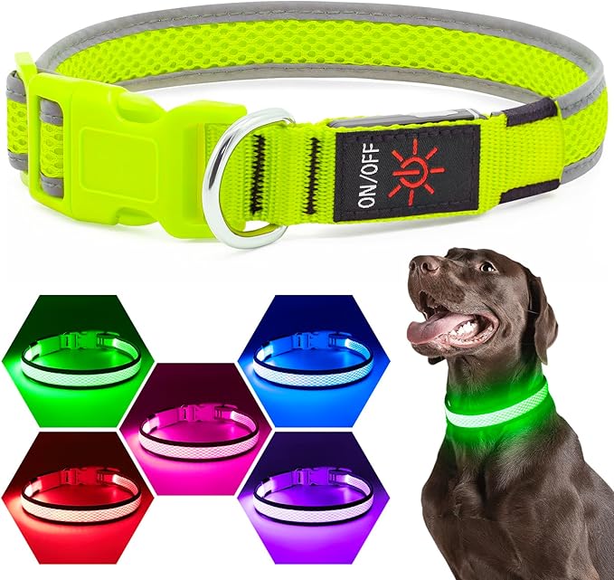 Flashseen LED Dog Collar, Light Up Dog Collar Lights USB Rechargeable, Adjustable Comfortable Soft