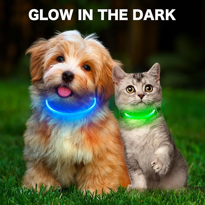 BSEEN Light Up Dog Collar, High Visibility LED Dog Collar Rechargeable- Rainproof TPU Cuttable