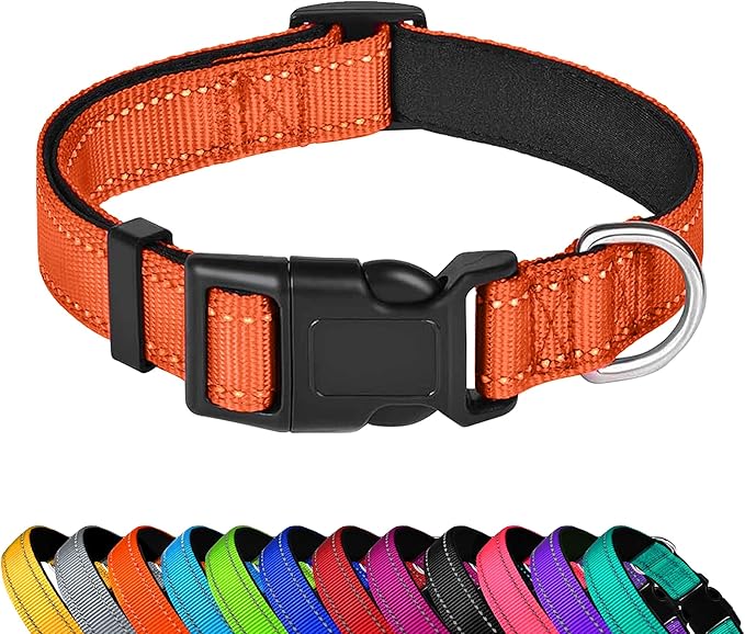 Reflective Dog Collar, Adjustable Soft Neoprene Padded Nylon Pet Collars with Buckle for Small