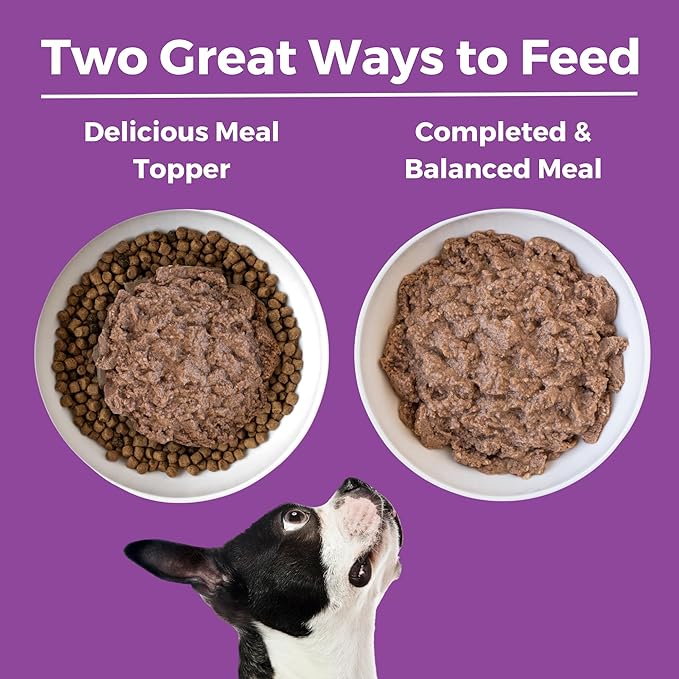 KOHA Limited Ingredient Diet Kangaroo Entrée for Dogs - Grain Free Wet Dog Food with No Fillers
