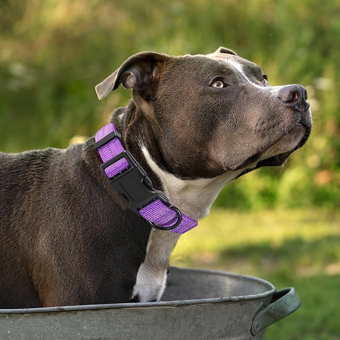Mile High Life Dog Collar | Nylon Reflective Dog Collars | Light Weight Puppy Collars | Purple Dog