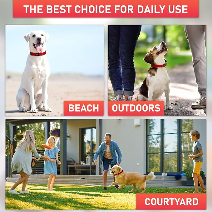 Adjustable Dog Collar with QR Code Dog Tag ID Attached - Made in USA - Honeycomb Waterproof Heavy