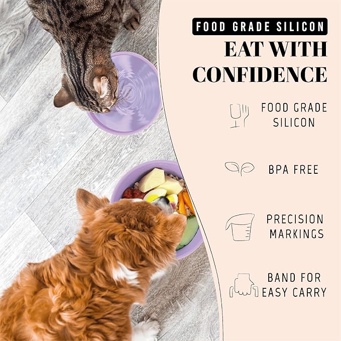 30 Oz Travel Dog Bowls with Lids, 2-in-1 Portable Pet Bowls for Food and Water, Leakproof Travel