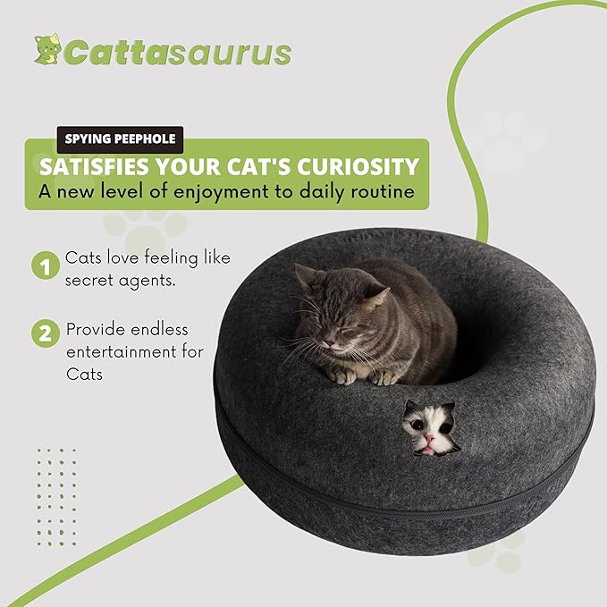 CATTASAURUS Peekaboo Cat Cave for Multiple & Large Cats Up to 30-45 Lbs, Scratch Detachable &