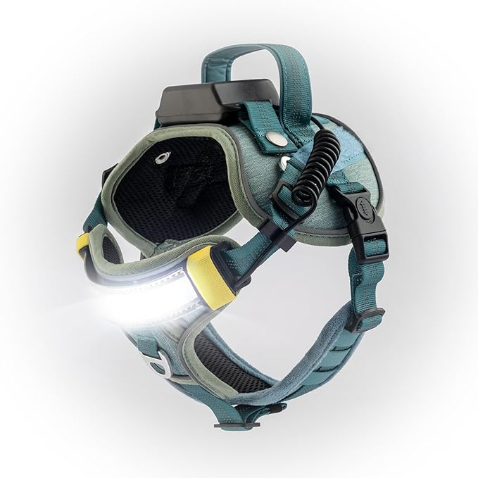 Lumi One LED Dog Harness for Night Visibility and Safety, Patent Pending?“High-Visibility Light-Up