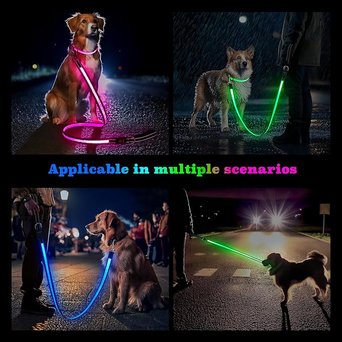 4 Ft LED Dog Leash, Light Up & Lighted Dog Leash, 7 Lighting Modes, Glow in The Dark, Reflective