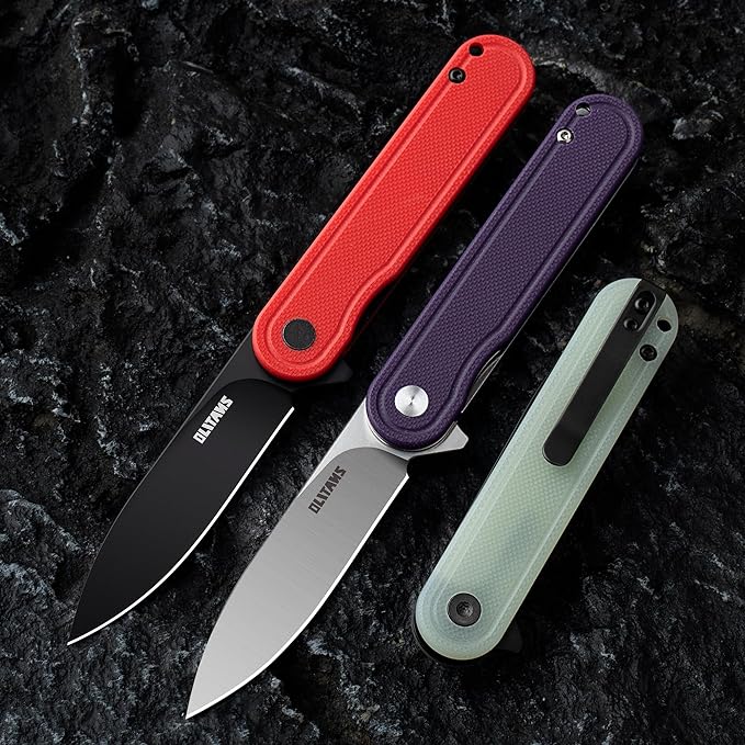 G040 Pocket Knife, 2.75'' D2 Steel Blade G10 handle, Small EDC Knife with Pocket Clip for Men