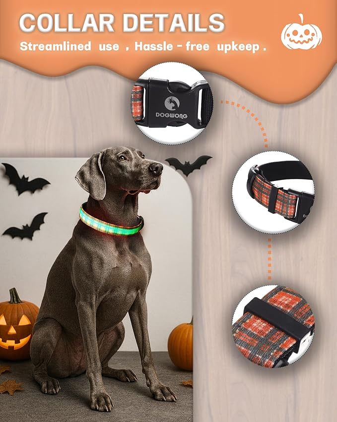 DOGWONG LED Dog Collar - Fall Orange Plaid Heavy Duty Light up Dog Collars - Rechargeable