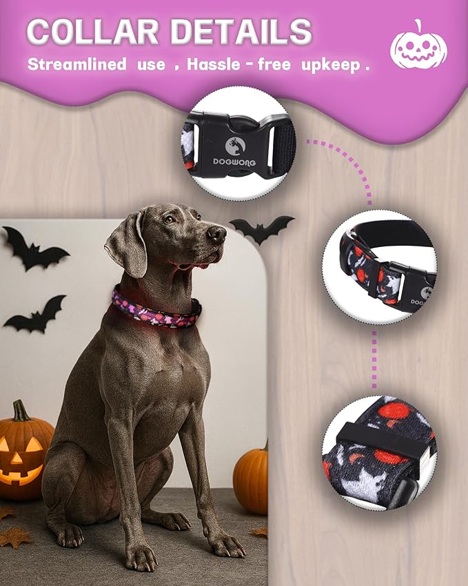 DOGWONG LED Dog Collar - Halloween Light up Dog Collars - Rechargeable Waterproof - Fall Lighted