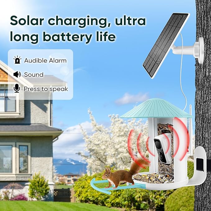 Solar Panel for Bird Feeder, Continuously 3W Power Supply for Your Bird Feeder Camera, Type-C Plug