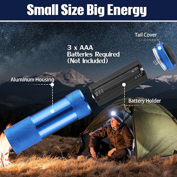 VIHOSE 12 Pcs Mini Flashlights Bulk, Bright Aluminum Handheld Flash Lights with Lanyard, Small LED