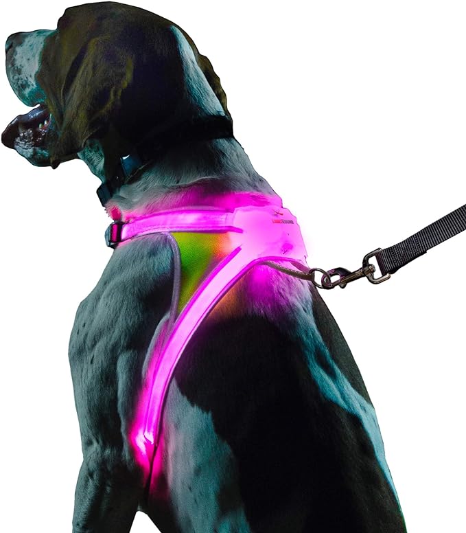 Noxgear LightHound ??Revolutionary Illuminated and Reflective Harness for Dogs Including