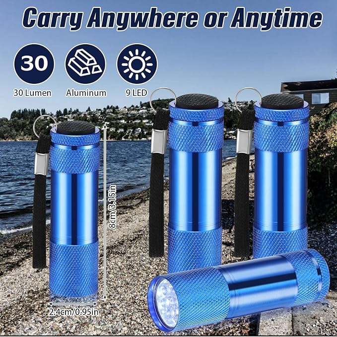 VIHOSE 12 Pcs Mini Flashlights Bulk, Bright Aluminum Handheld Flash Lights with Lanyard, Small LED