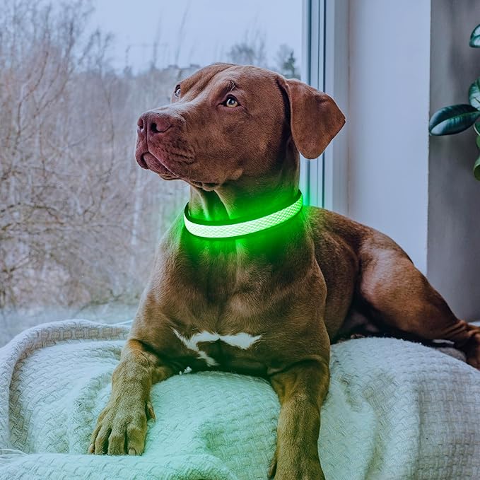 LED Dog Collar, Light Up Dog Collar USB Rechargeable, Brightest Dog Lights for Night Walking