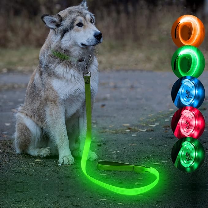 Candofly Glowing LED Dog Leash, Rechargeable Pet Leash with Lights, 4 Ft Light Up Dog Leash for