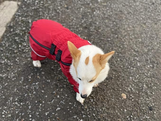 Dogs Waterproof Jacket, Lightweight Waterproof Jacket Reflective Safety Dog Raincoat Windproof