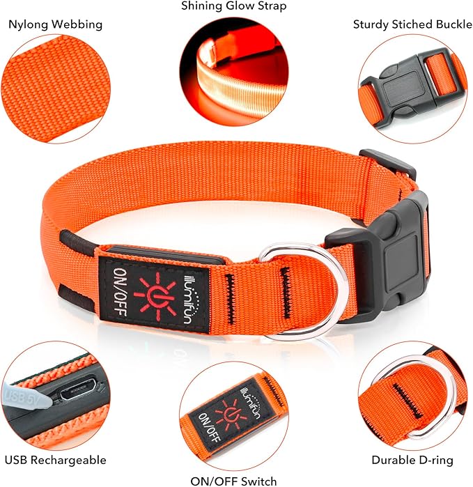 Illumifun Light Up Dog Collar, USB Rechargeable LED Dog Collar, Adjustable Lighted Safety Collar