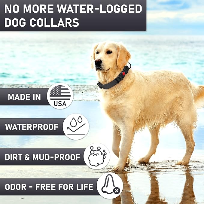 Adjustable Dog Collar with QR Code Dog Tag ID Attached - Made in USA - Honeycomb Waterproof Heavy
