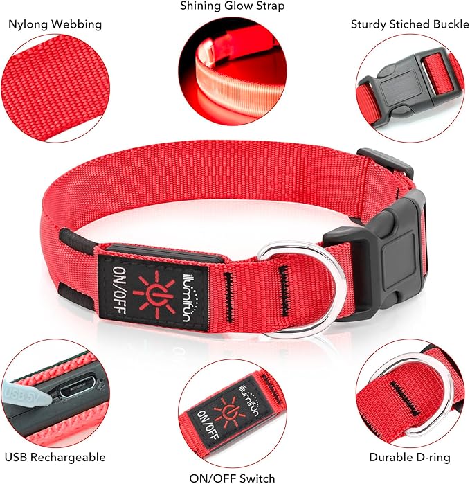 Illumifun Light Up Dog Collar - USB Rechargeable LED Dog Collar Glow in The Dark, Adjustable Pet
