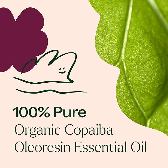 Plant Therapy Copaiba Oleoresin Organic Essential Oil 100% Pure, Undiluted, Natural Aromatherapy