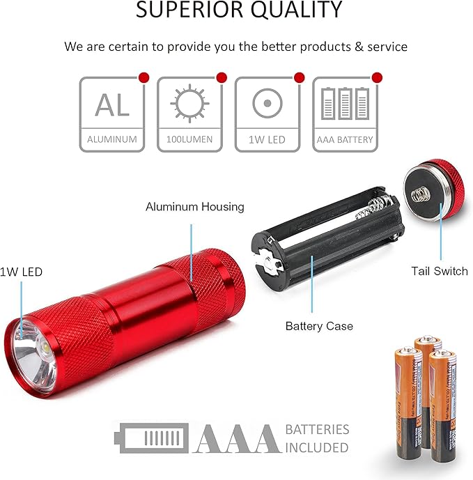 FASTPRO 20-Pack 100 Lumen Super Bright Aluminum LED Flashlights Set, with AAA Dry Batteries