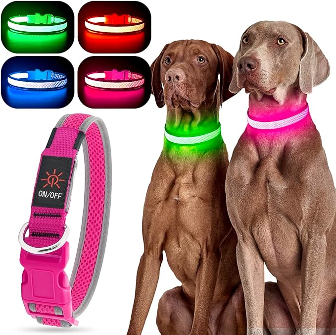 YFbrite Light up Dog Collar, USB Rechargeable LED Puppy Collar Super Bright Adjustable Glowing Dog