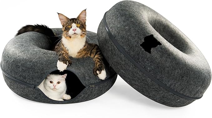 Cattasaurus Peekaboo Cat Cave, Extra Spacious for Multiple & Large Cats 12+ lbs, Scratch Detachable