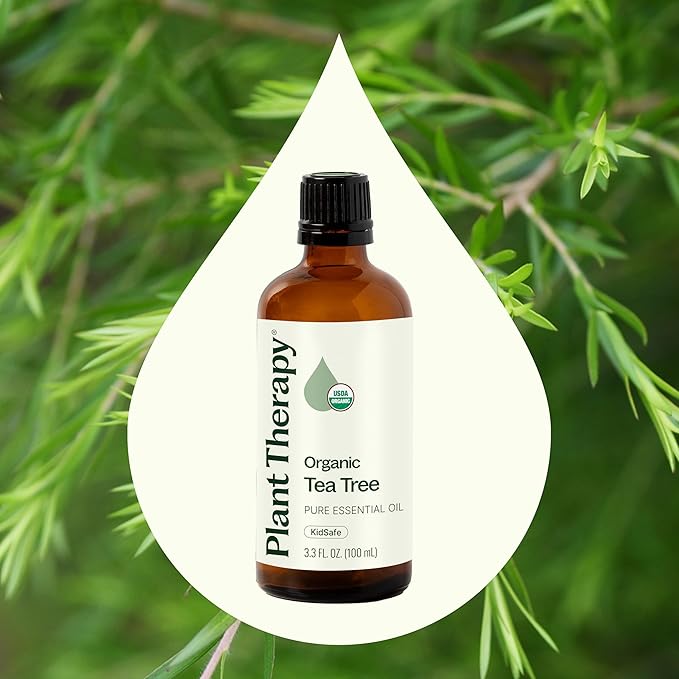 Plant Therapy Organic Tea Tree Oil (Melaleuca) 100% Pure, USDA Certified Organic, Undiluted