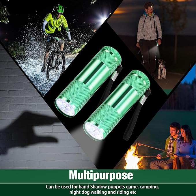 VIHOSE 20 Pcs Mini Flashlights Bulk, Bright Aluminum Handheld Flash Light with Lanyard Small LED