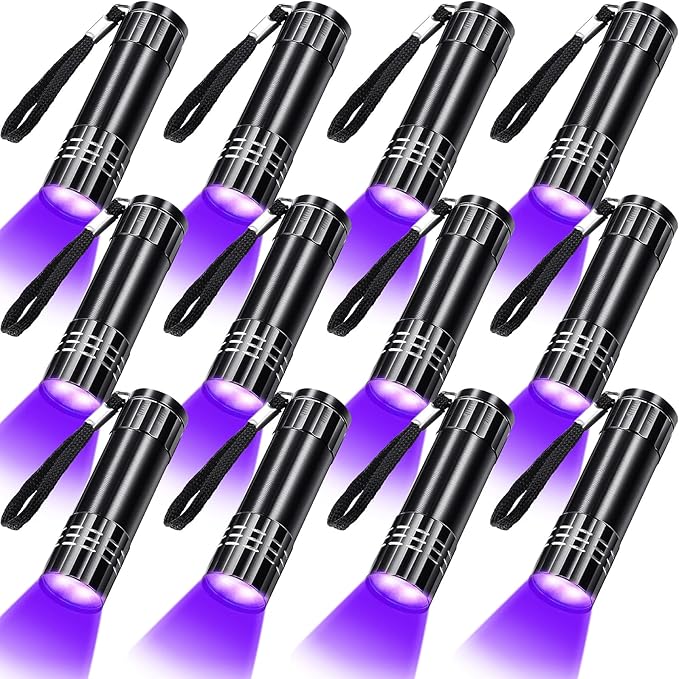 Riakrum 12 Pieces UV Blacklight Flashlights LED Handheld Mini Light Flashlight Small Portable