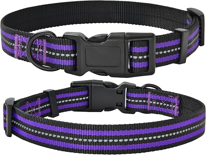 Mile High Life Reflective Dog Collar | Nylon Pet Collars wiith Buckle | Light Weight Puppy Collars