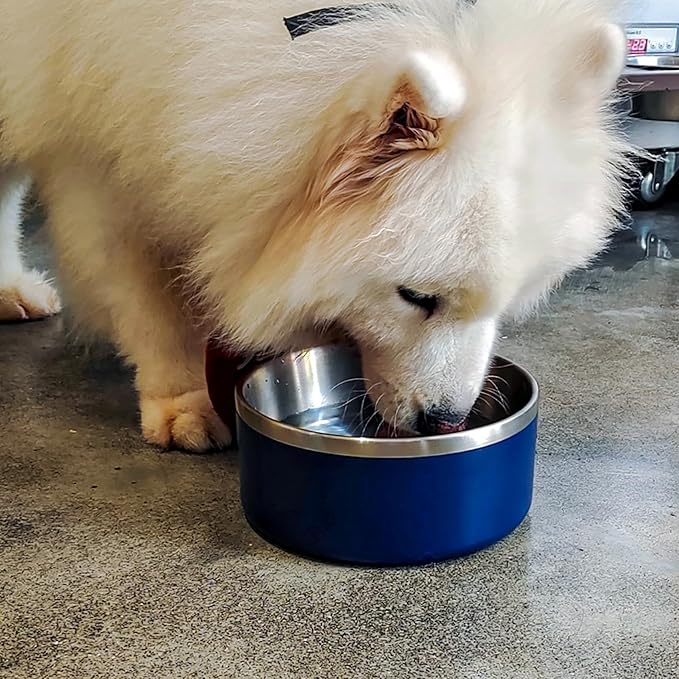 Stainless Steel Dog Bowl, Metal Water and Food Dish for Large Dogs, Insulated Non-Slip Pet Bowl