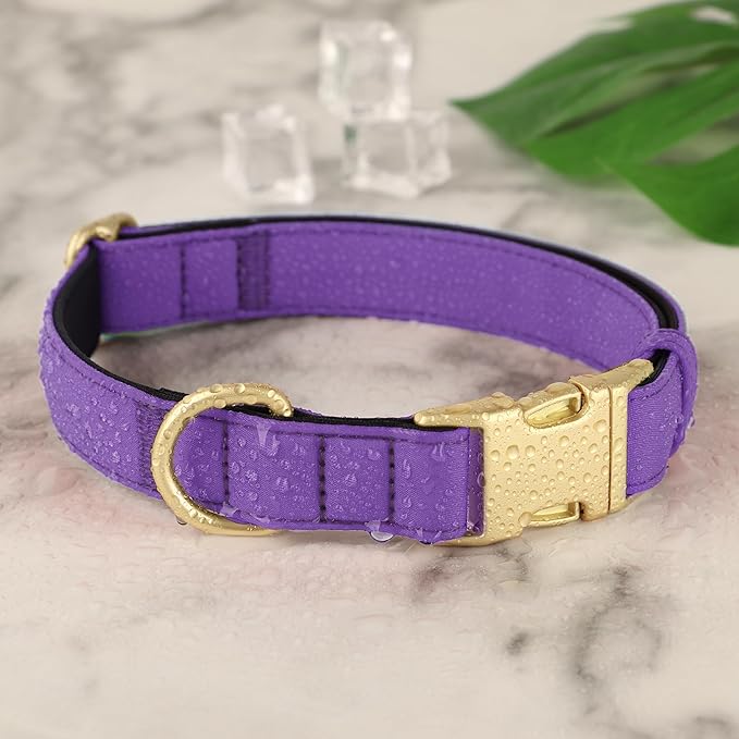 Didog Soft Padded Dog Collar for Large Dogs, Colorful and Durable Pet Collar with Quick Release