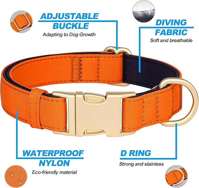Didog Soft Padded Dog Collar for Large Dogs, Colorful and Durable Pet Collar with Quick Release