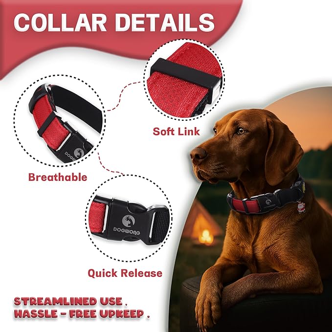 DOGWONG LED Dog Collar - Heavy Duty Light up Collars - Rechargeable Waterproof - Lighted Dog Collar