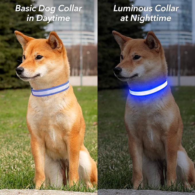 Visinite Light Up Dog Collars for Small Medium Large Dogs, Fully Adjustable LED Dog Collar USB