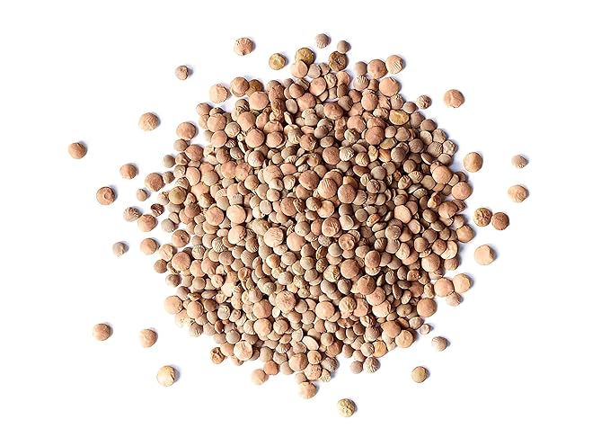 Food to Live - Whole Red Lentils, 4 Pounds ??Dry Raw Lentils, Sproutable, Vegan, Kosher, Bulk.