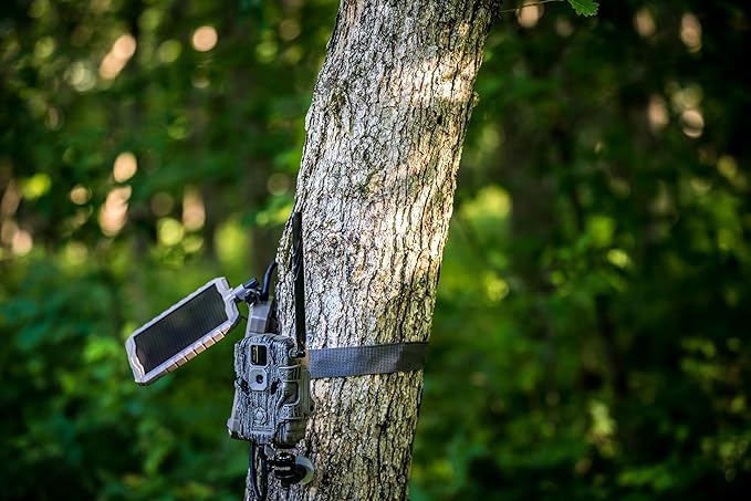 Stealth Cam Durable Sol-Pak Solar Battery Pack, 12V Solar Power Panel, Rechargeable Battery & 10ft